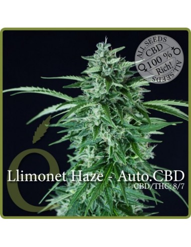Llimonet Haze Auto CBD (Elite Seeds)