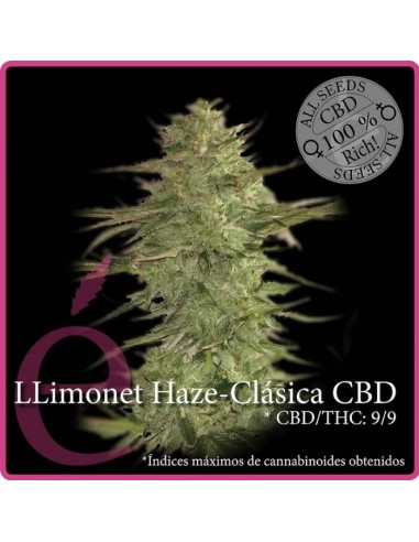 Llimonet Haze CBD (Elite Seeds)