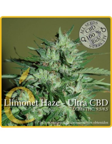 Llimonet Haze Ultra CBD (Elite Seeds)