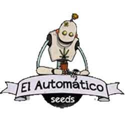 Automatico Seeds